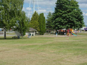yelm.jpg